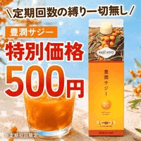 【豊潤サジー】定期購入