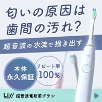 超音波電動歯ブラシ Lilly - リリー 