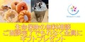 無料deほけん相談