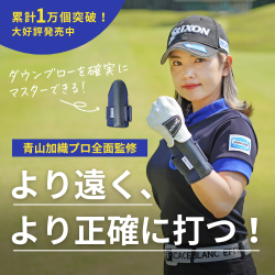 ダウンブローマスター