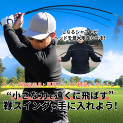 シナリアイアン 