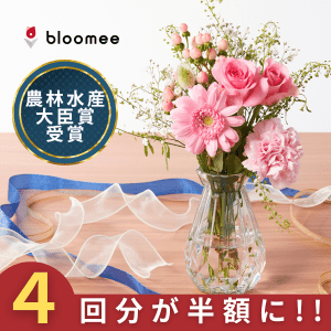 【4回分が半額】bloomee - ブルーミー（新規定期購入）のポイント対象リンク